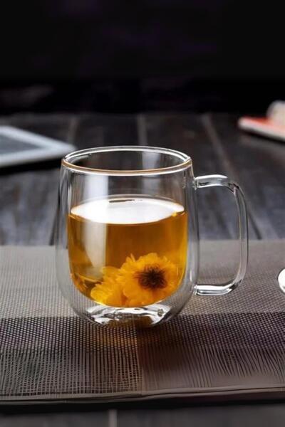 HSDemirci Glass Double Wall Cup 350 ml