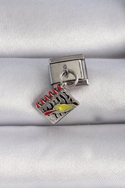 Epilons 316L الصلب الفضة اللون استرخى دفتر الشكل ترشيح سحر - TJ-BC1055