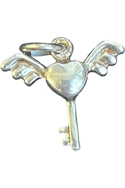 Toolsy Pandantiv din Argint 925 Jolie Silver, Model Cheita cu Aripi, 13 x 17 ...