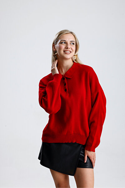dgs look Women's Basic Polo Neck Knit Sweater