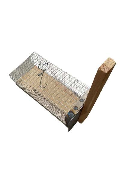 Ethab Ticaret Lattice Type