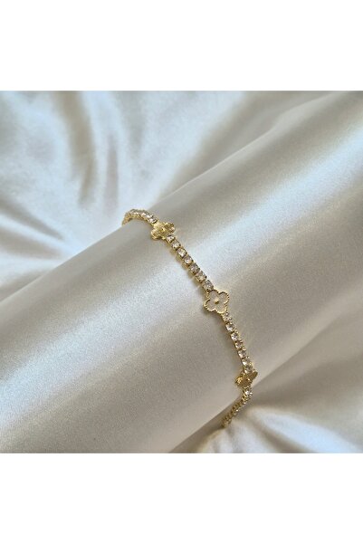 Haze سوار سو يولو يونكا