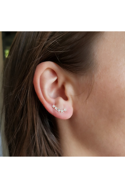 Silver berry S925 Star Earrings Ear Pins