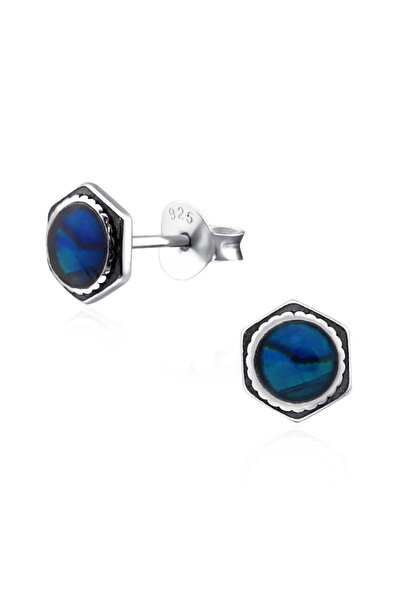 Silver berry S925 Comb Abalone - Blue Earrings