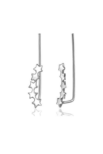 Silver berry S925 Star Earrings Ear Pins