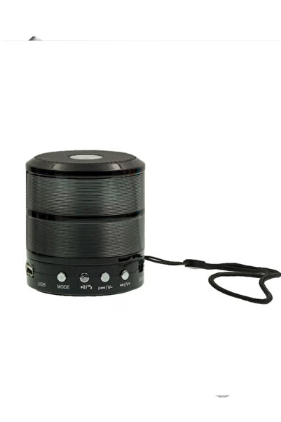 OEM Portable Bluetooth speaker WS-887, black