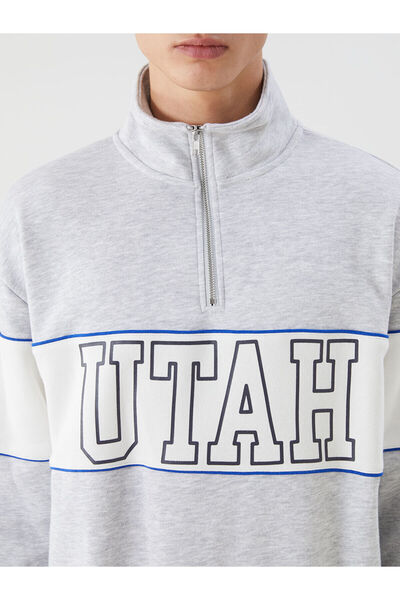 LC Waikiki Plus New Season Stand Collar Color Block Men's Sweatshirt