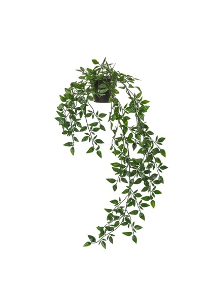 Davida Dreams Planta curgatoare artificiala, in ghiveci, pentru decor interior si exterior, 70 cm, verde