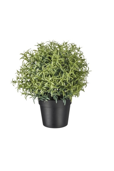 Davida Dreams Planta artificiala, rozmarin in ghiveci, pentru decor interior si exterior, 20 cm, verde