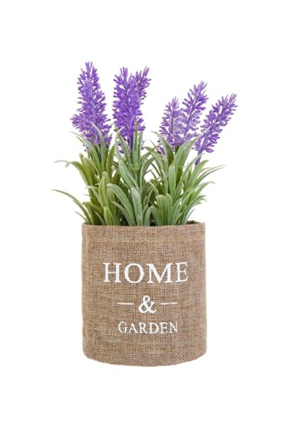 Davida Dreams Lavanda artificiala inflorita, in ghiveci din rafie, cu mesaj, 24 cm