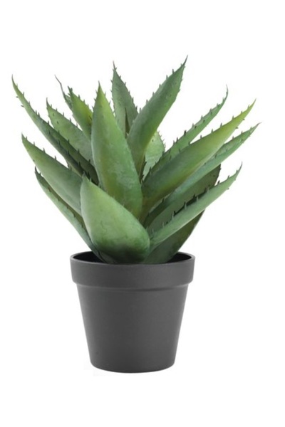 Davida Dreams Aloe vera, in ghiveci, artificiala, aspect , interior si exterior, 30 cm