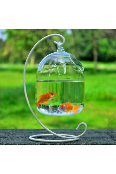 Choice1 White-01 Round/Rectangle Shape Hanging Glass Aquarium Fish Tank Fish Bowl Transparent Vase Ornament