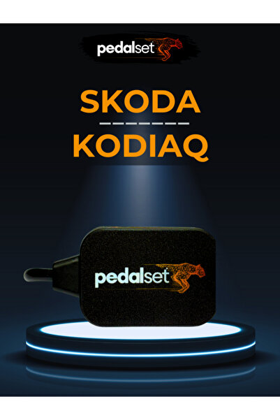 Gaz Tepkime Cihazı Skoda Kodiaq 1st. Gen. (2016-2024) 2.0L