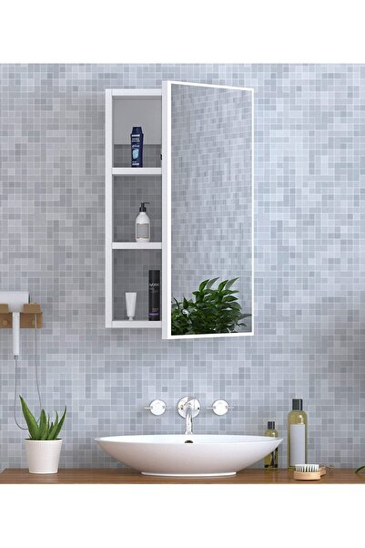 Modern home Cabinets with Single Mirrored Door with 3 Storage Units with Shelves