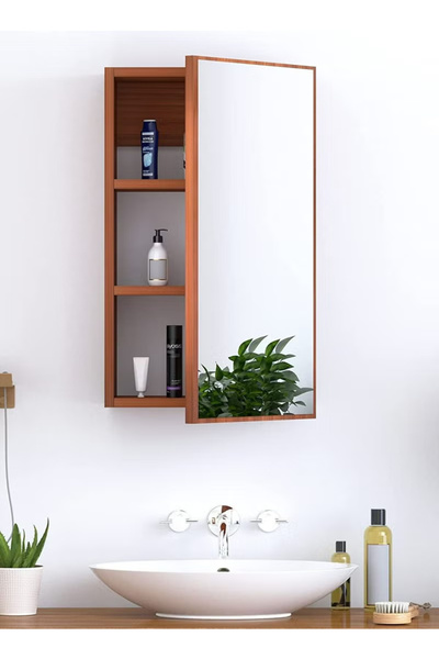 Modern home Cabinets with Single Mirrored Door with 3 Storage Units with Shelves