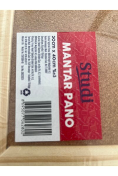 Studi Mantar pano 30*40