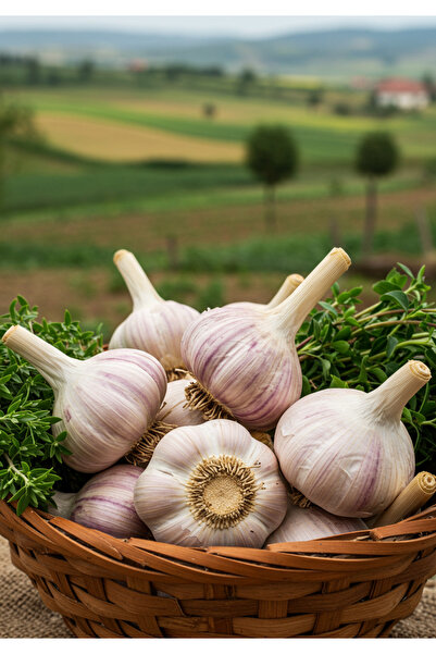 UMUT ORGANİK Organik Sarımsak 1kg ( Sertifikalı )