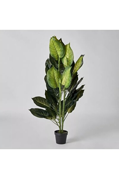 Generic شجرة ديفنباخيا صناعية من تريتون ريال تاتش مع وعاء - 50×40×135 سم