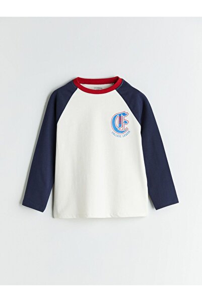 LC Waikiki Crew neck printed boys' t-shirt