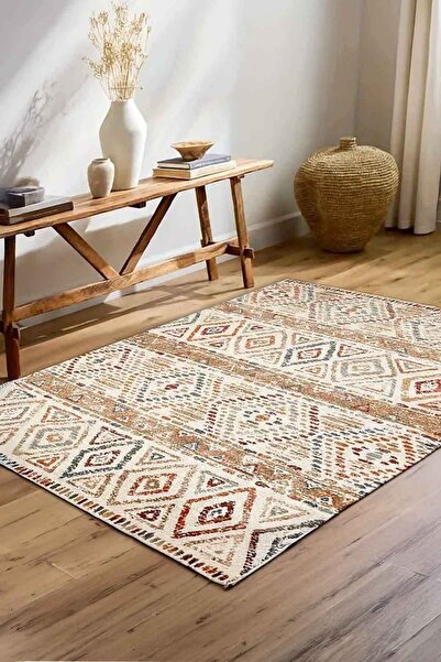 Decomia Home Washable Non-Slip Kids & Pet Friendly Printed Pattern Carpet & Area Rug for Living Room Kitchen