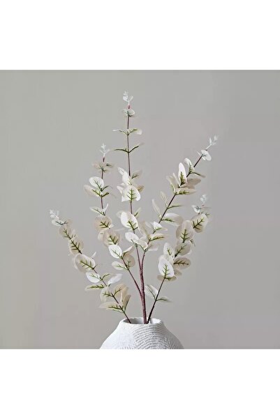 Generic رذاذ ساتان من زهور الأوكالبتوس - 90 سم