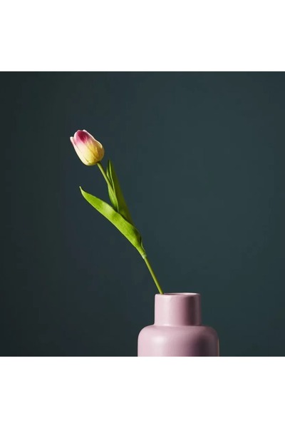 Generic ساق زهرة توليب أريا - 36 سم