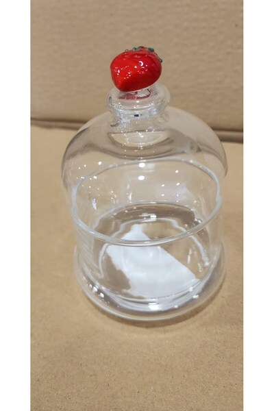 İstanbul ÇİLEK FİGÜRLÜ KAPAKLI KASE