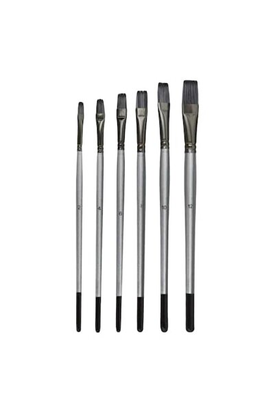 OEM Set Pensule Desen, Painter's Brush, Varf Plat, Maner Negru Argintiu, 6 Bu...