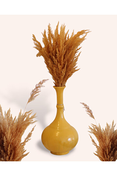 Ütopik çiçek Küçük doğal pampas vazo çiçeği ithal değil yerli sarı pampas