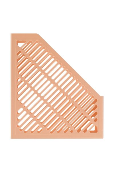 SHOPIENS Perforated Plastic Magazine & Document Holder, Salmon, 25.5x8.5x29.5 cm - MYONNA