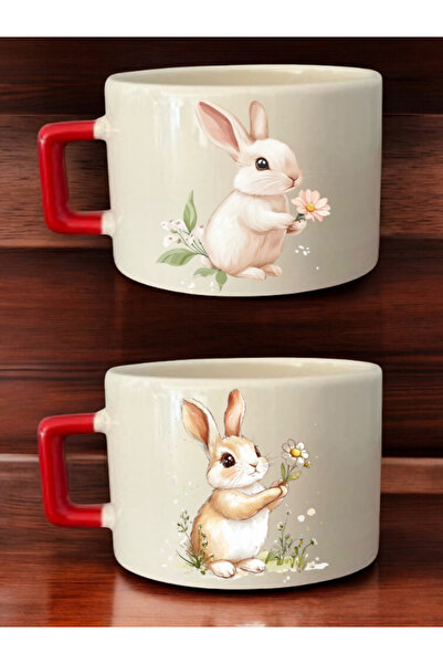 lili hediyelik Rabbit Flower Printed 2-Piece Coffee Cup Ceramic Mug - Ceramic Tea, Coffee Gift Cup