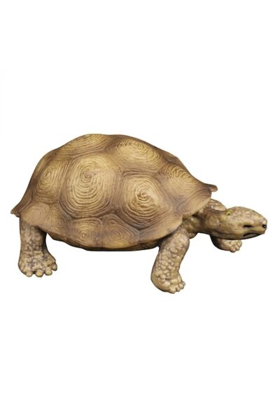 MYONNA IT & E- COMMERCE Σετ φιγούρων άγριων ζώων, 5 τεμάχια, πολύχρωμα