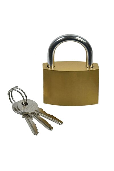 SHOPIENS Lacăt din zinc Shopiens®, 50 mm, culoare aurie, cârlig din oțel, 3 chei