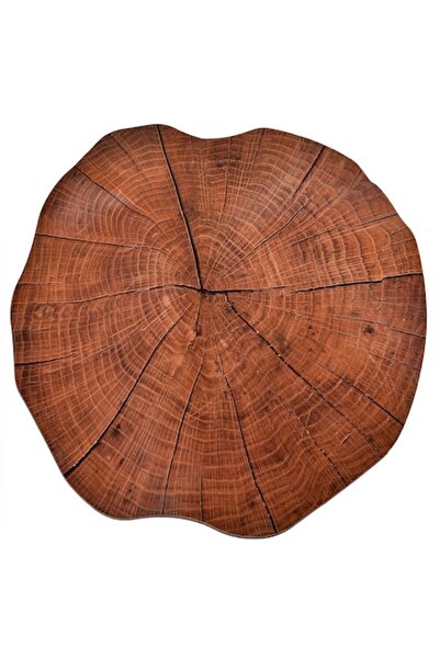 SHOPIENS Suport rotund pentru farfurii, model trunchi de copac, 38 cm, maro