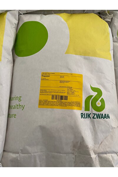 Rijk Zwaan ithal ıspanak tohumu TRAGOPAN RZ F1 (51-185) 1.000.000 adet/paket
