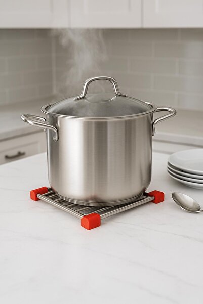 EWs Stainless Steel Silicone Edged Trivet 21 cm