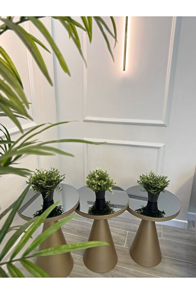 Valda 3 LÜ CLASS SARI AYNALI ZİGON