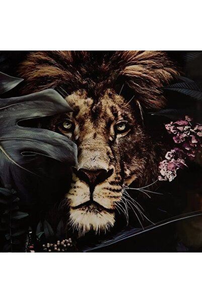 Generic Framed Fossil Lion Picture - 50x70x3 cm