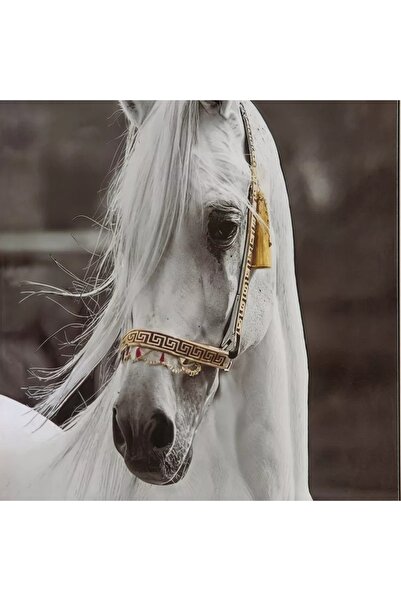 Generic صورة أوديان قبرصية مؤطرة بسطح ABS عالي اللمعان - 60 × 90 × 2.5 سم