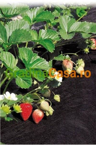 EUR HortiAgryl black microporous film, 50 gr/sqm, 0.8 x 100 m