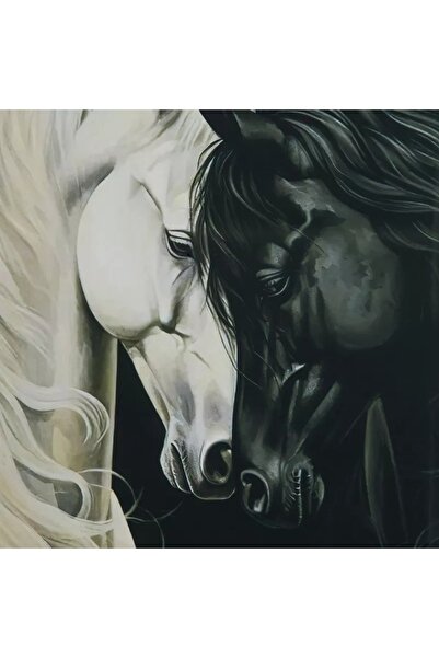 Generic Framed picture of Cypriot Odian horses - 40x80x2.5 cm