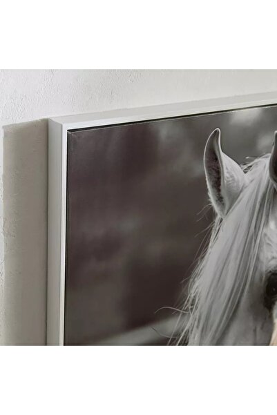 Generic صورة أوديان قبرصية مؤطرة بسطح ABS عالي اللمعان - 60 × 90 × 2.5 سم