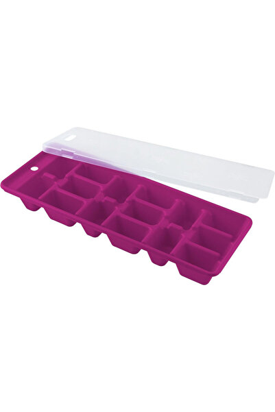 FACKELMANN Ice tray with lid 49368, 25x10 cm, Multicolor