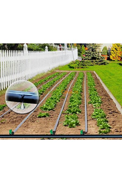 EUR Banda Picurare 8mil, 1000ml/rola, Distanta dintre picuratori 10cm