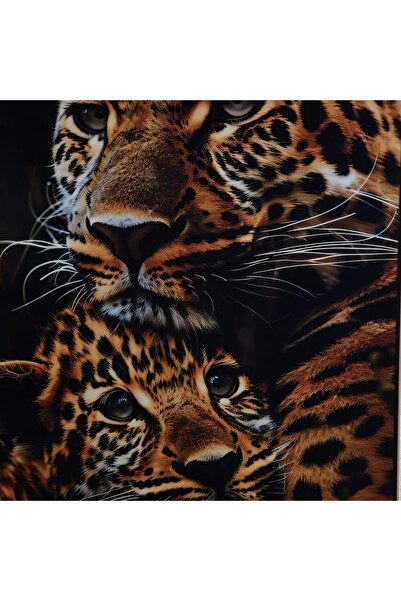 Generic Framed picture of a fossil tiger - 50x70x2.5 cm