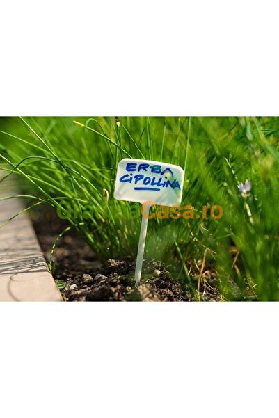 EUR Tablita marcaj 6 x h 34 cm, 10 buc/set