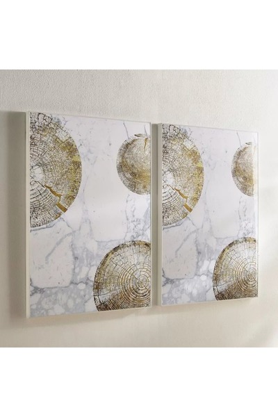 Generic Fossil Abstract Framed Picture Set, 2 Pieces - 50 x 70 x 2.5 cm
