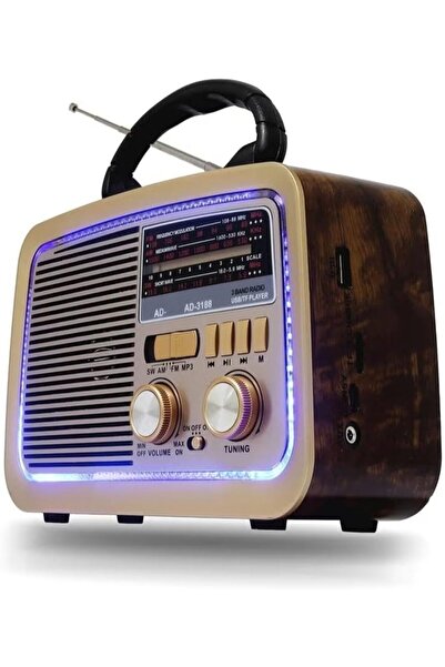 Denx Hi-Fi Radio, FM/AM/SW 3 Band, USB/TF/BT Player, Rechargeable Battery Brown Wooden