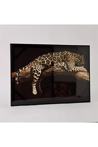 Generic صورة إيرسيل ليوبارد مؤطرة - 50x70x2.5 سم