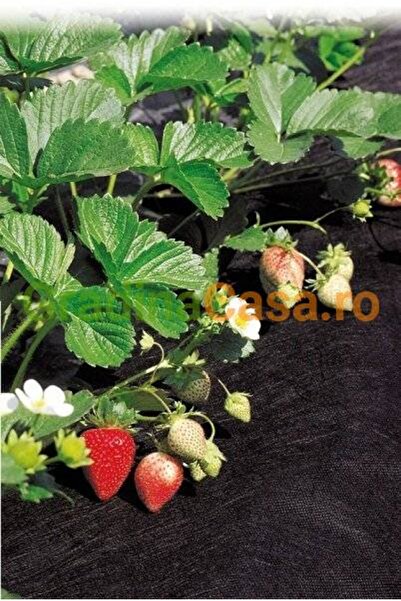 EUR HortiAgryl black microporous film 50 gr/sqm, 3.20 x 100 m